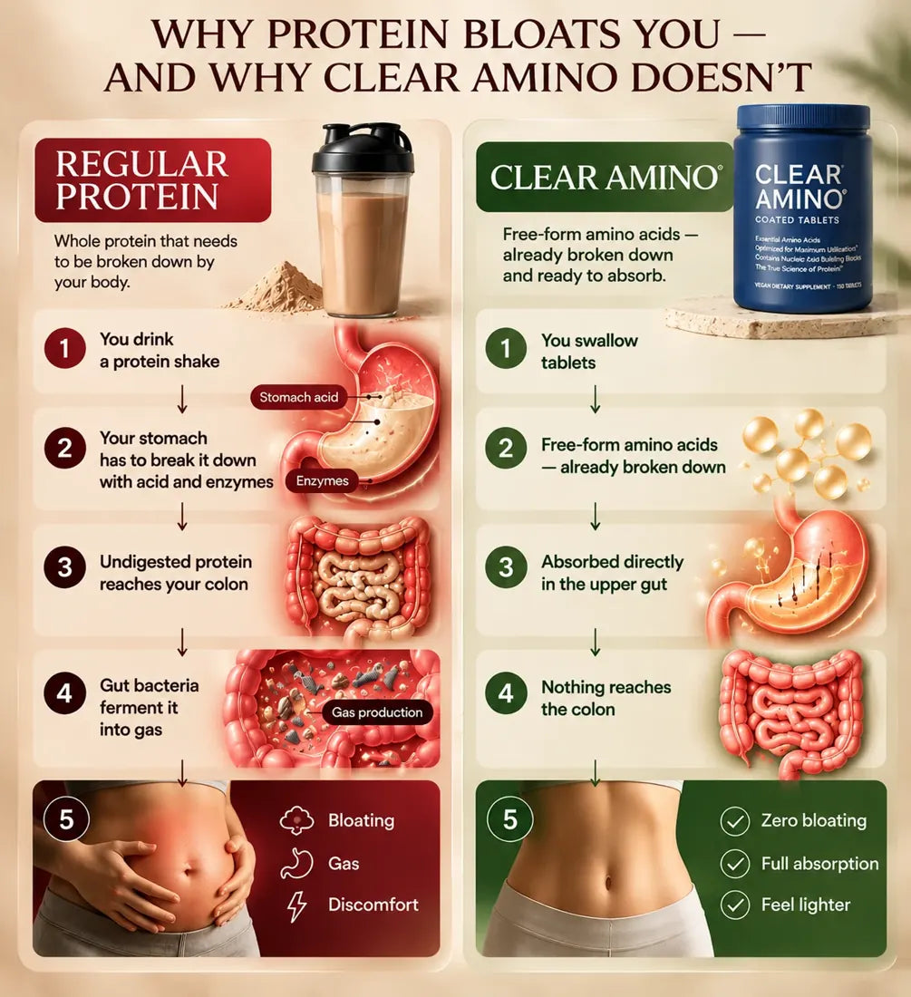 Why protein bloats you, and why Clear Amino doesn't